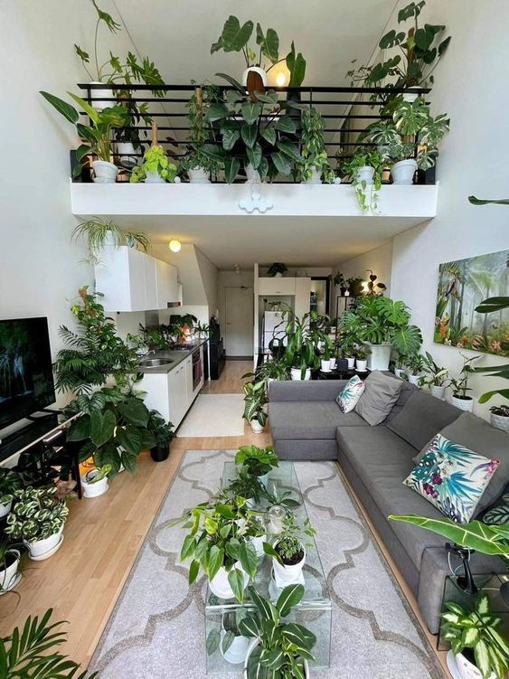 Decoração Com Plantas: Transformando Ambientes com Frescor e Estilo!